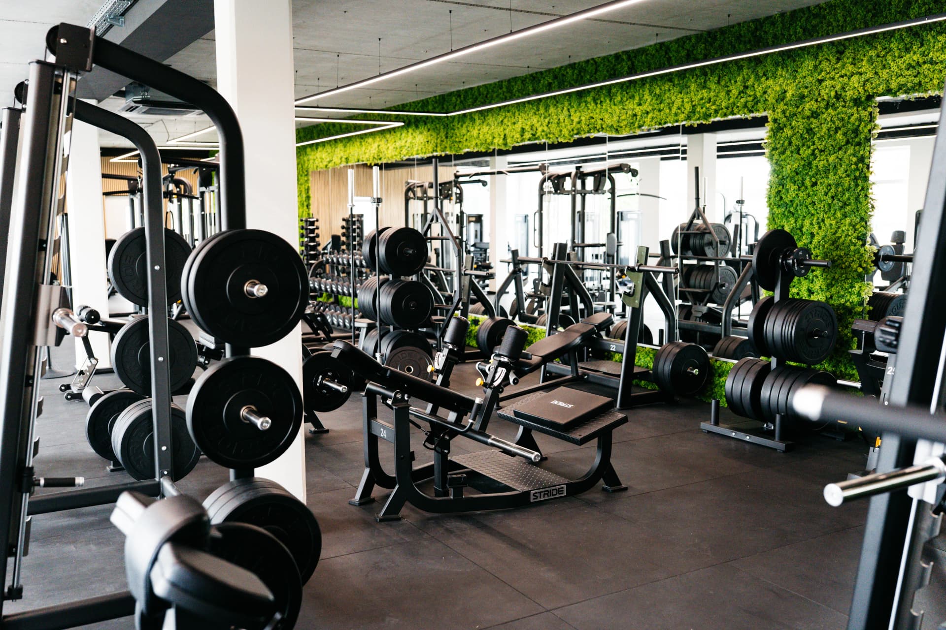 Trainingsfläche Kraftwerk Neuhof – Studio unten